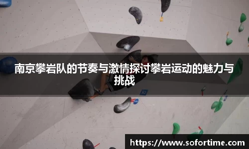 南京攀岩队的节奏与激情探讨攀岩运动的魅力与挑战