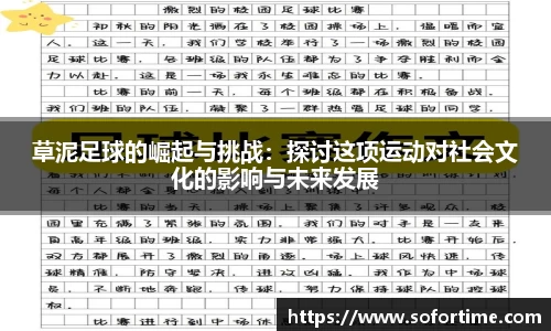 草泥足球的崛起与挑战：探讨这项运动对社会文化的影响与未来发展