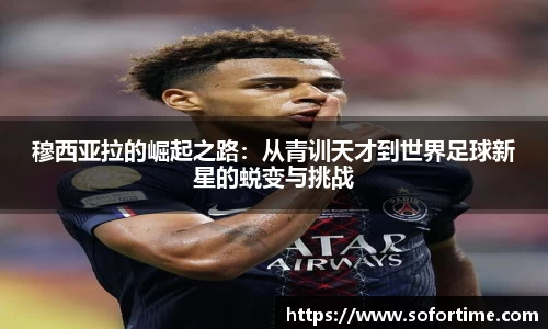 8868体育全网最权威