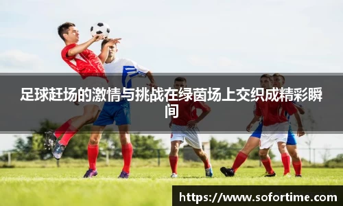 8868体育免费在线平台